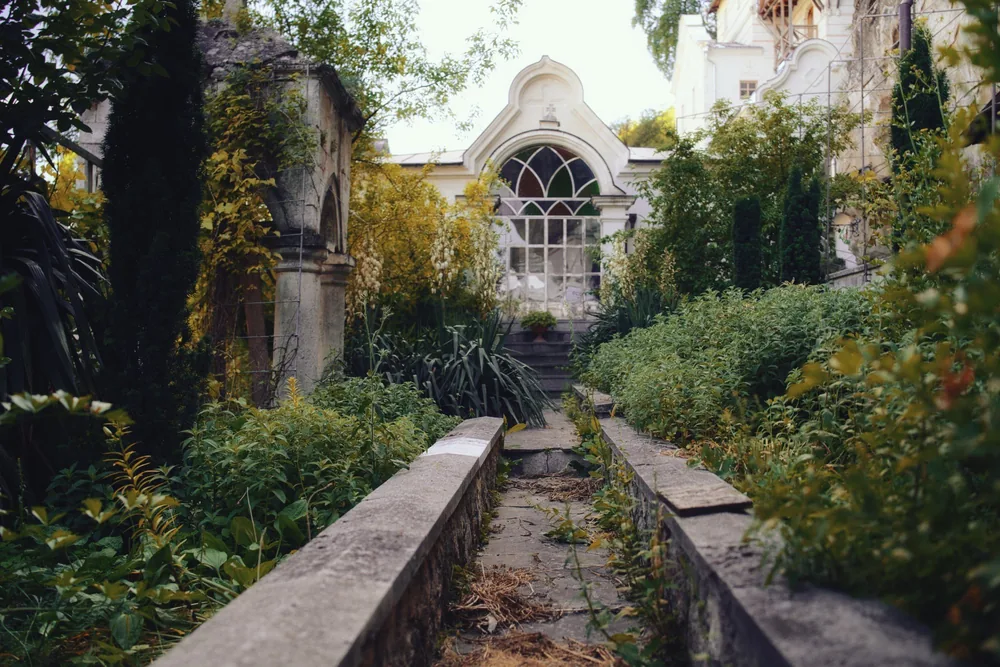 An overgrown walled garden with collapsed planting and weed growth