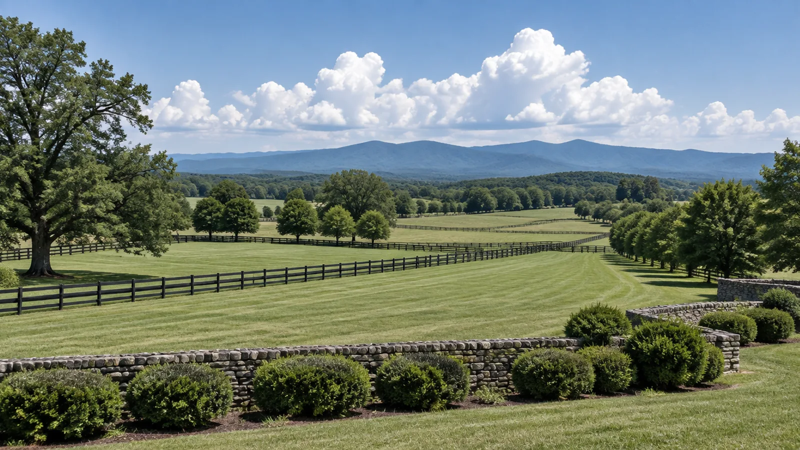 A long summer view west across mown Piedmont farmland divided by black board fencing, cumulus building over the Blue Ridge