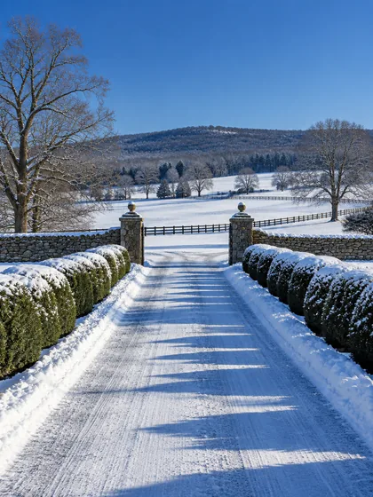 An estate drive ploughed clear of fresh snow between snow-capped box hedges on a bright January morning