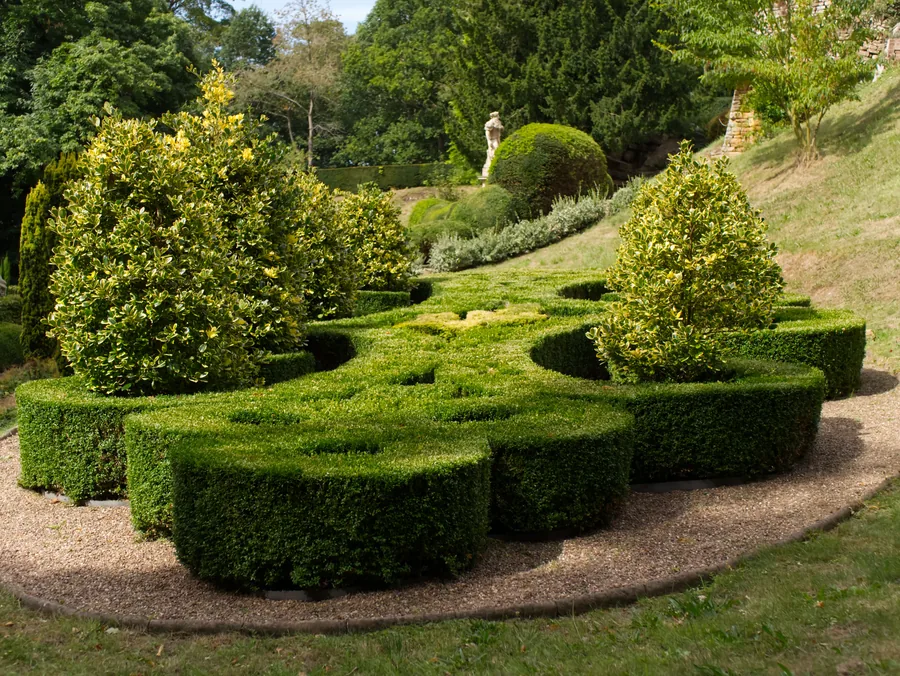A clipped topiary garden in full summer