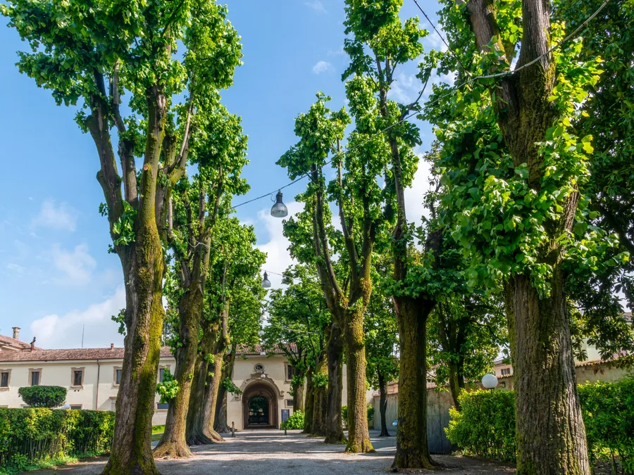 A tree-lined gravel drive leading to an estate entrance